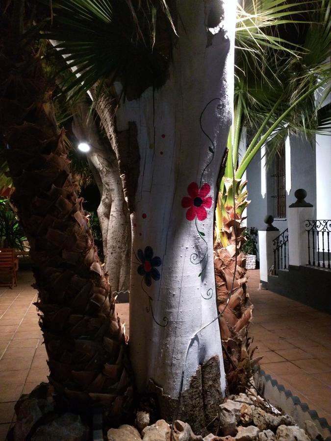 Nwt Paradise Urban Hostel Alicante Zewnętrze zdjęcie