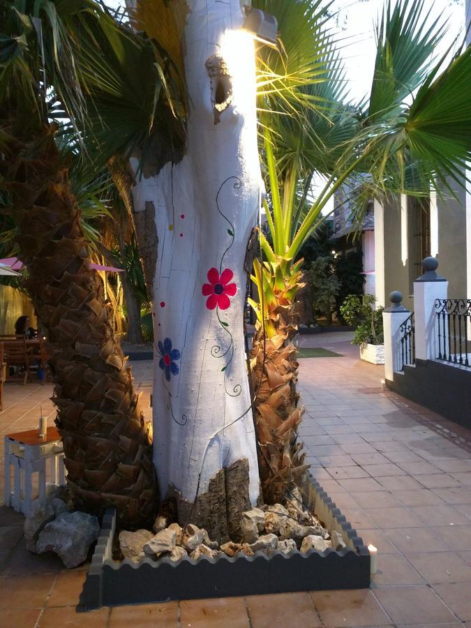 Nwt Paradise Urban Hostel Alicante Zewnętrze zdjęcie