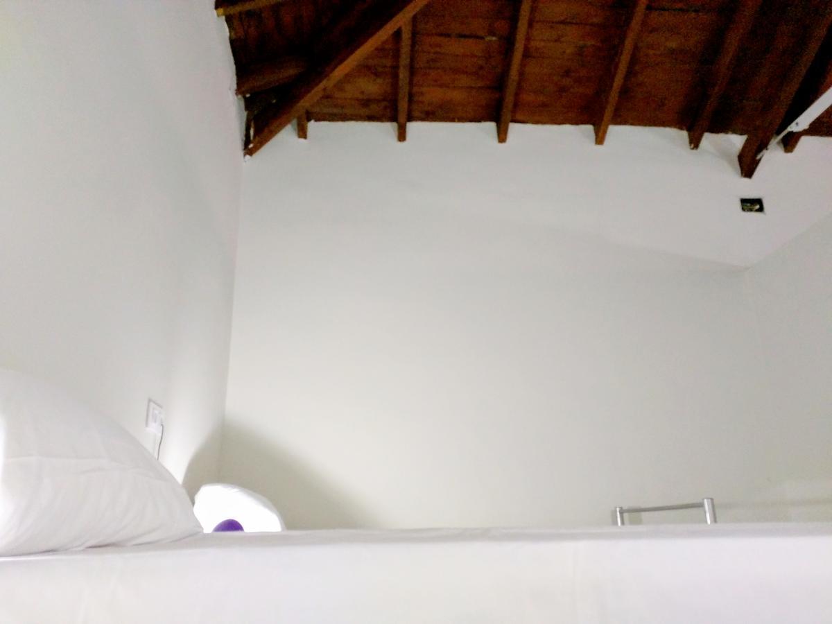 Nwt Paradise Urban Hostel Alicante Zewnętrze zdjęcie