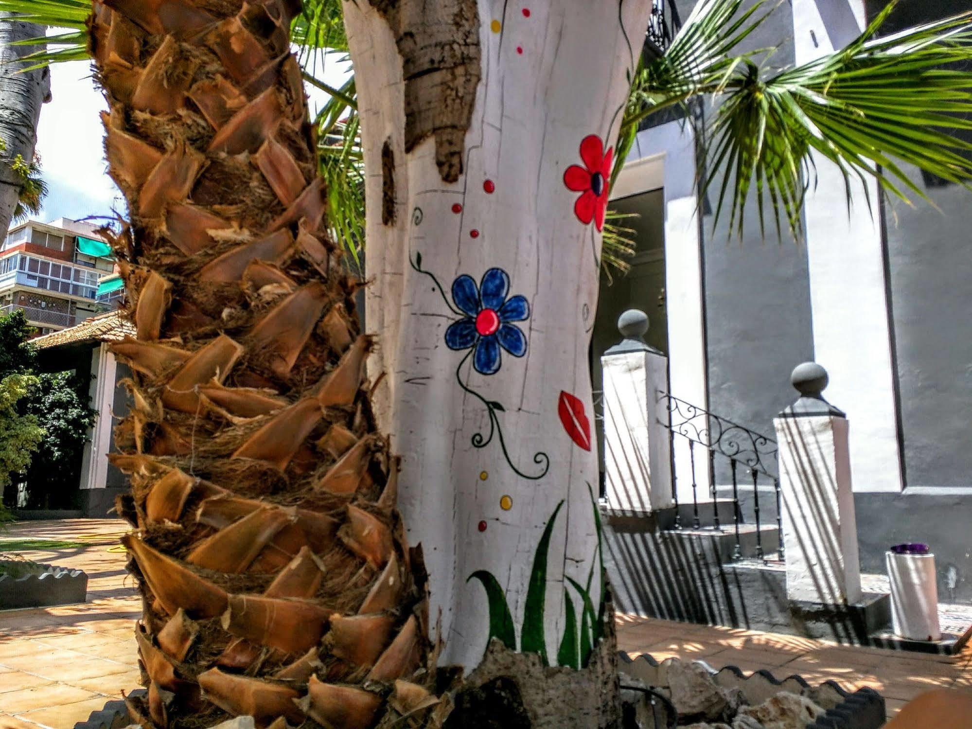 Nwt Paradise Urban Hostel Alicante Zewnętrze zdjęcie